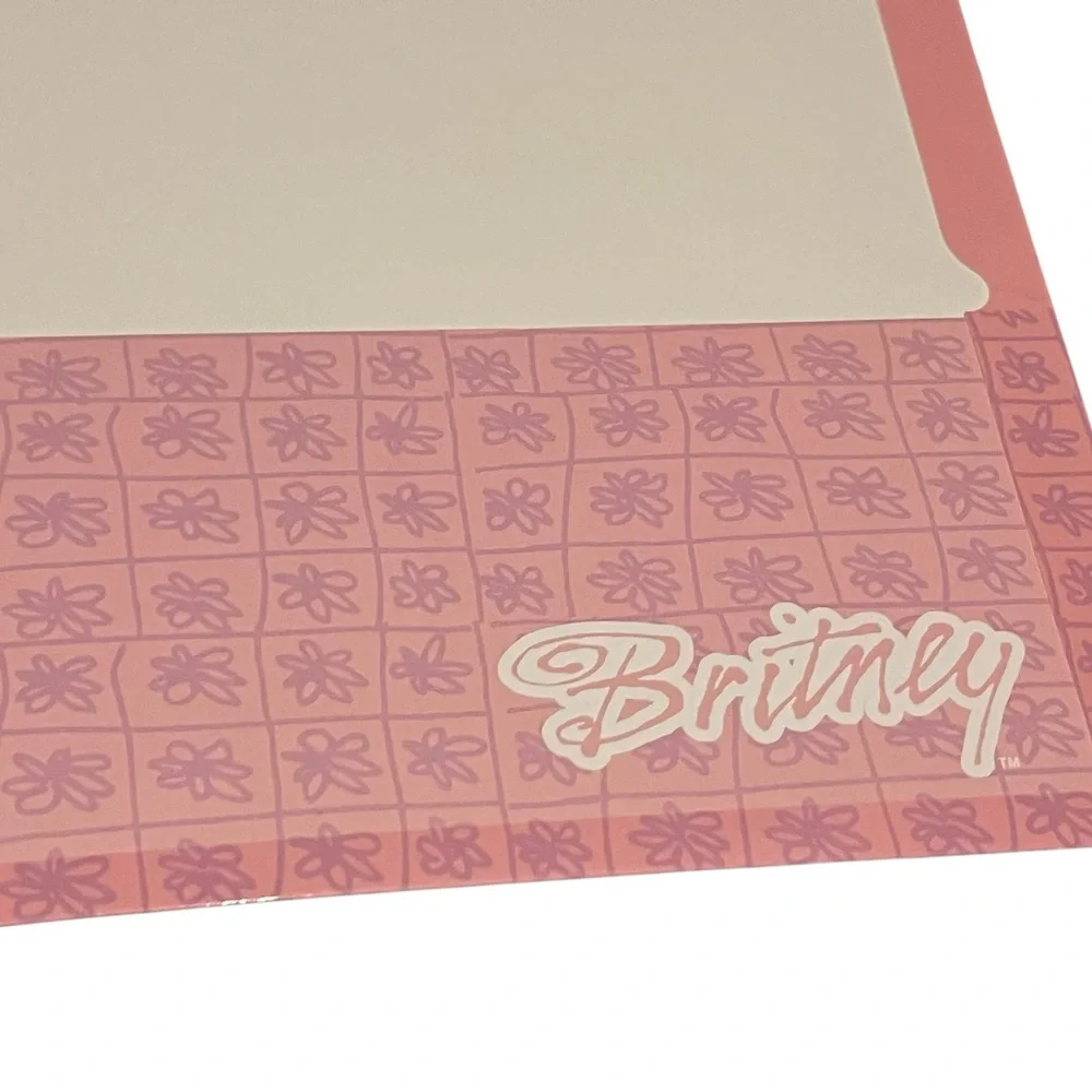 Pink Britney folder Cover